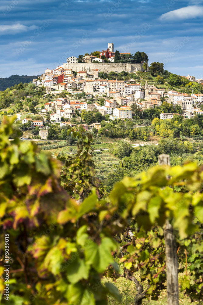Fototapeta premium Kroatien, Istrien, Blick durch die Weinberge nach Motovun