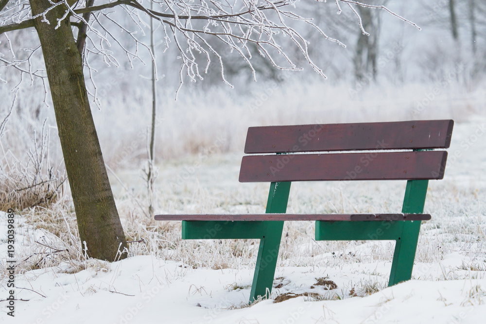 Bench in winter nature. Winter scene with bench.