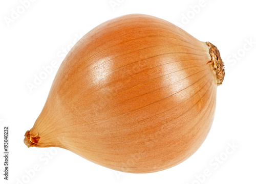 Yellow onion on a white background photo