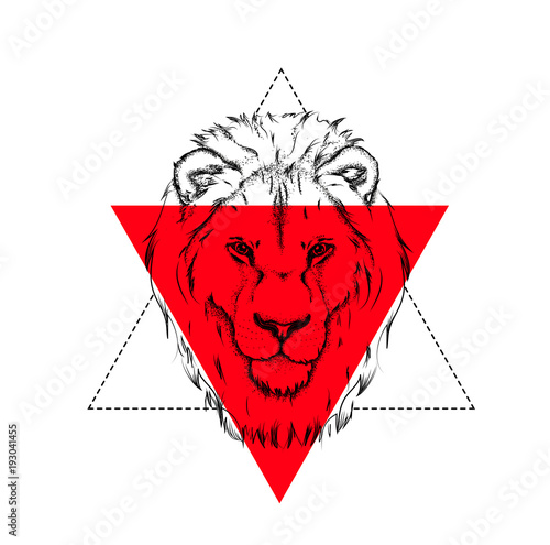 Fototapeta Naklejka Na Ścianę i Meble -  Portrait of a lion. Can be used for printing on T-shirts, flyers and stuff. Vector illustration