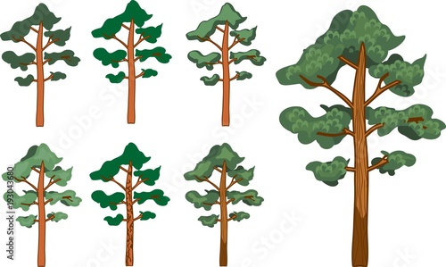 Set of pine trees