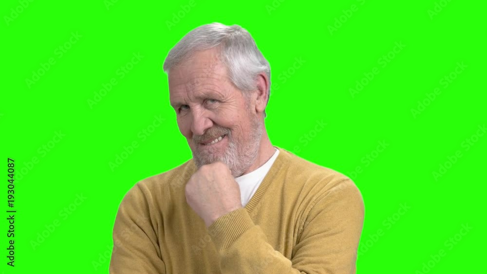 Elderly flirting man, green screen. Senior man flirting and touching his beard on chroma key background. Mature macho man. Elderly flirting man, green screen. Senior man flirting and touching his beard on chroma key background. Mature macho man.