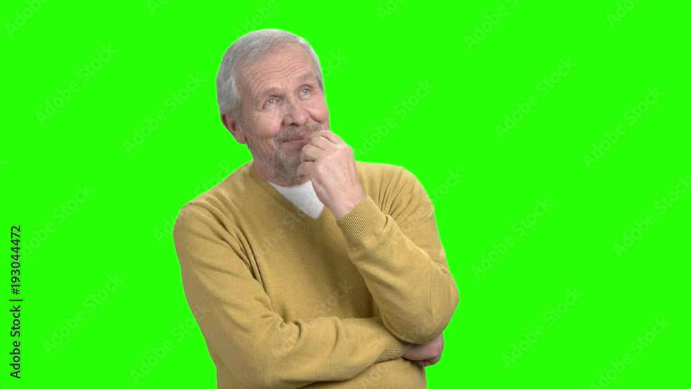 Handsome mature man having an idea. Happy older man got an idea, Alpha Channel background. Handsome mature man having an idea. Happy older man got an idea, Alpha Channel background.