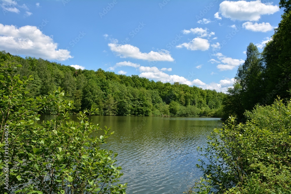 Kleiner See mit vielen grünen Bäumen, blauem Himmel  und weißen Wolken