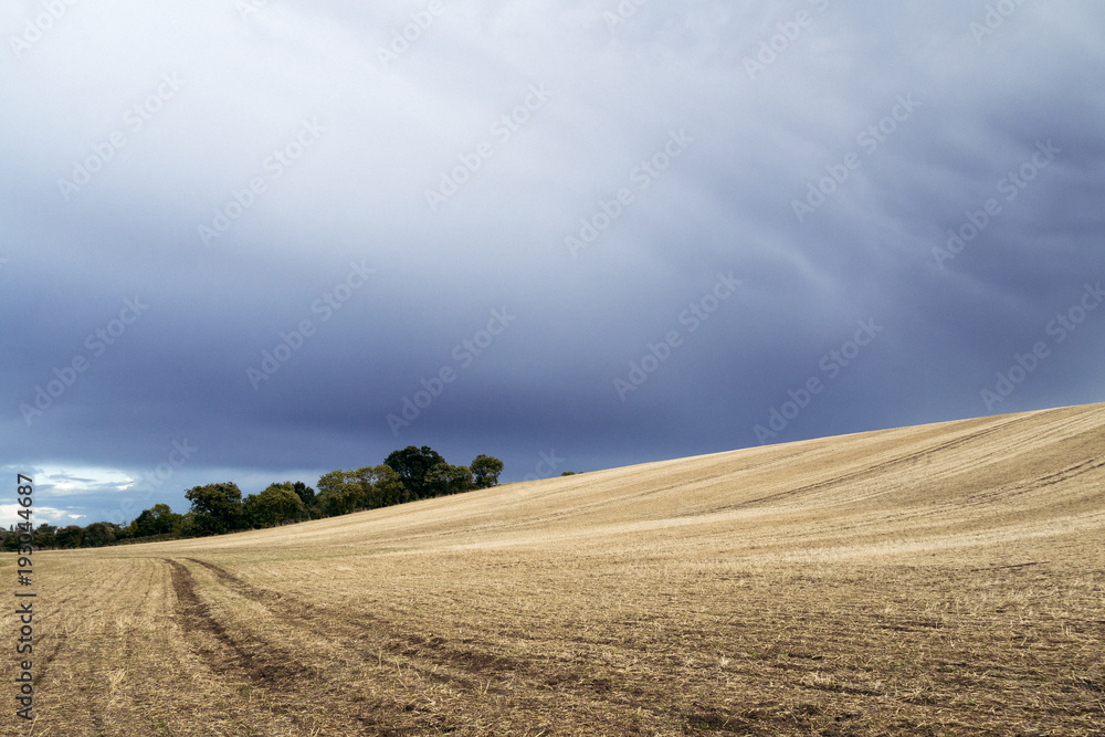 Fototapeta premium Dark Skies Above Empty Farm Field