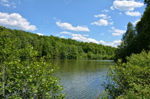 Kleiner See mit vielen gr  nen B  umen  blauem Himmel  und wei  en Wolken