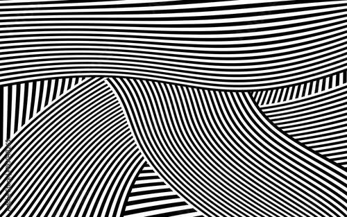 Zebra Design Black and White Stripes Vector