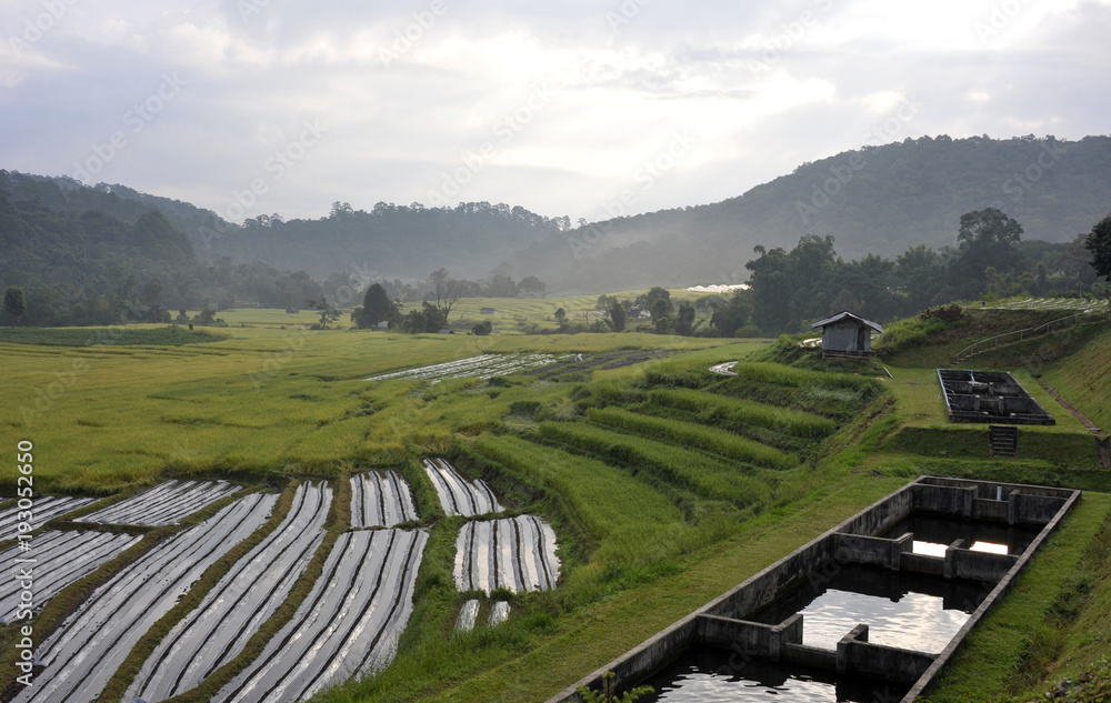 Doi Inthanon