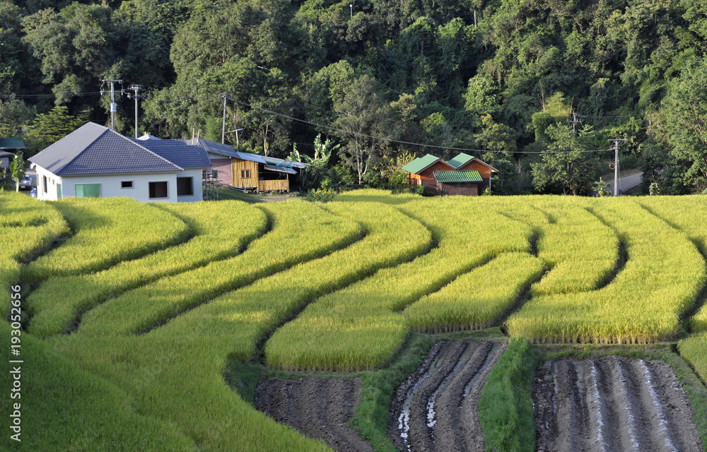 Doi Inthanon