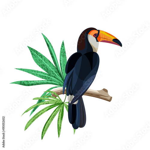 Tropical bird toucan is sitting on branch with green tropical leaves. Vector hand drawn illustration isolated on white background.