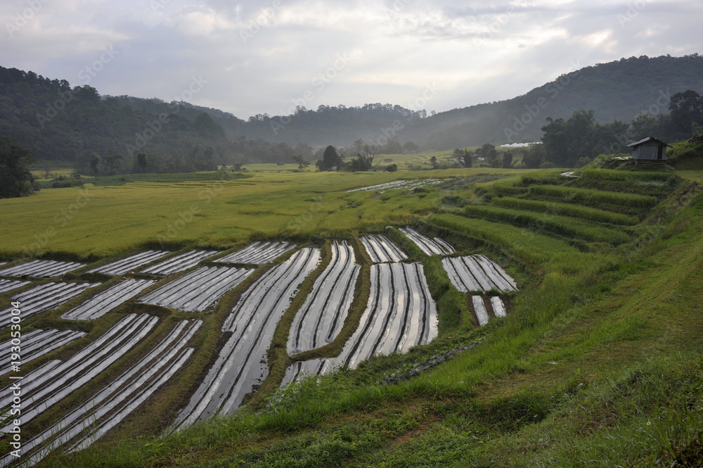 Doi Inthanon
