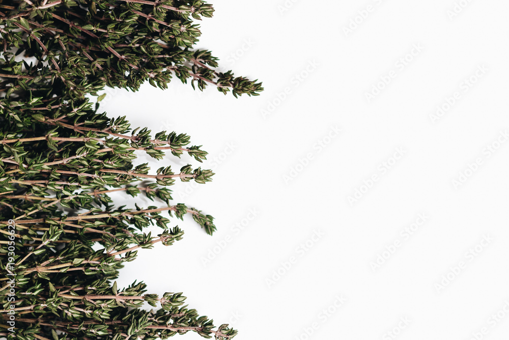 Fototapeta premium Frame of green aromatic herbs isolated on white background