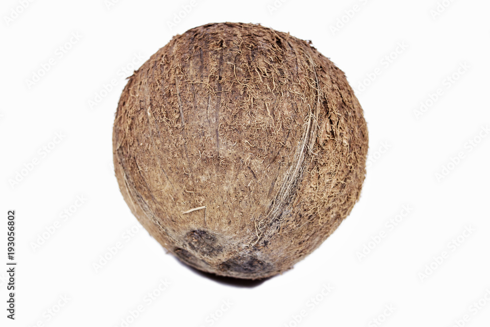 Coconut on white Coconut on white