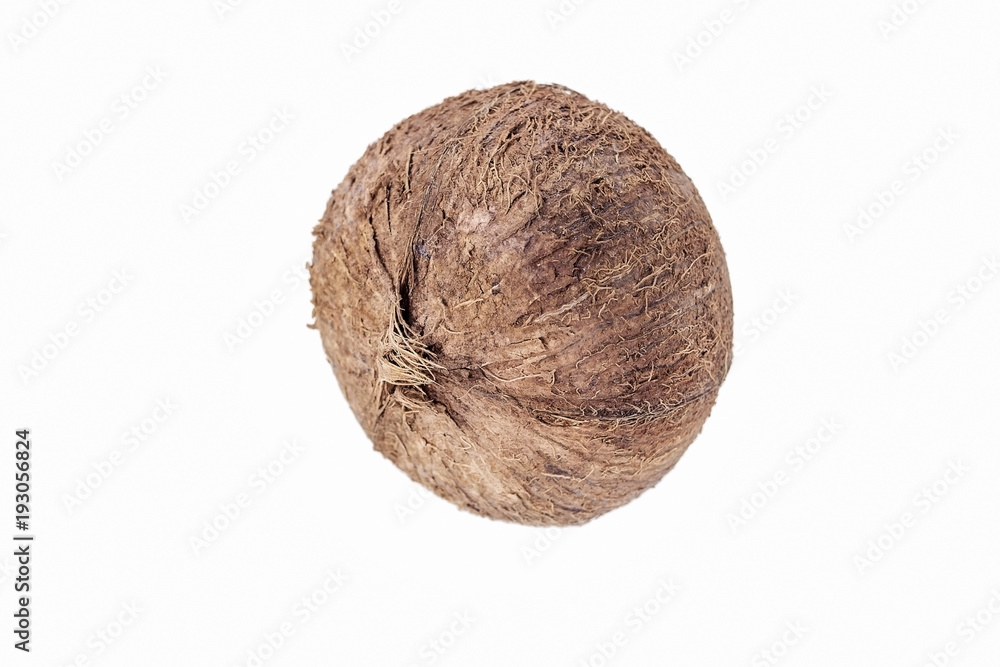 Coconut on white Coconut on white