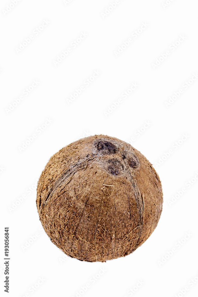 Coconut on white Coconut on white