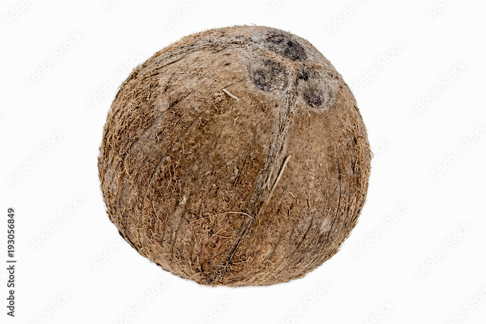 Coconut on white closeup Coconut on white closeup