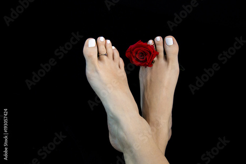 Attractive feet of woman, classic ideal beauty with "Greek foot" toe, white nail lacquer, soft perfect skin, fresh red rose, close up on black abstract background