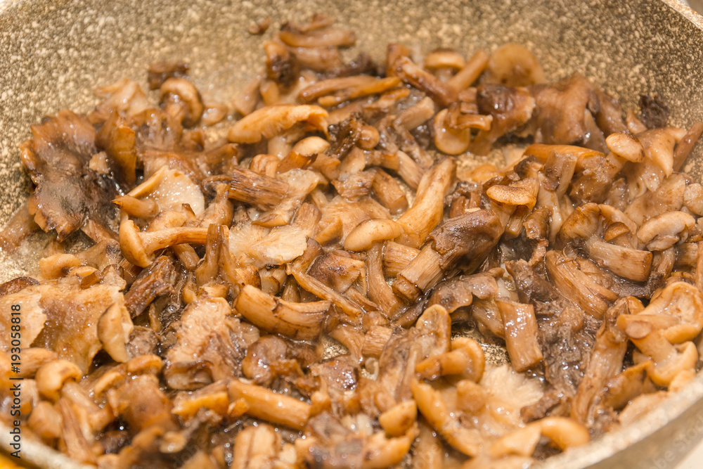Mushrooms fry. Fried mushrooms in a frying pan. Mushrooms stew. Preparation of mushrooms. Mushrooms fry. Fried mushrooms in a frying pan. Mushrooms stew. Preparation of mushrooms.