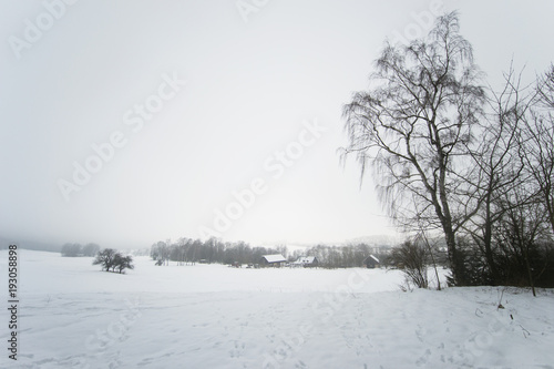 bright calm nature photography in winter season, snow everywhere
