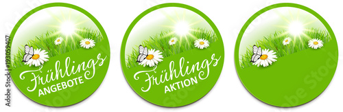 Frühling - Angebot Button Set mit Margeriten Blumen Wiese, Sonne und Schmetterling
