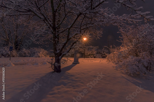 Eine wunderschöne Winternacht, ein schneebedeckter Baum im Laterenlicht in der Dunkelheit