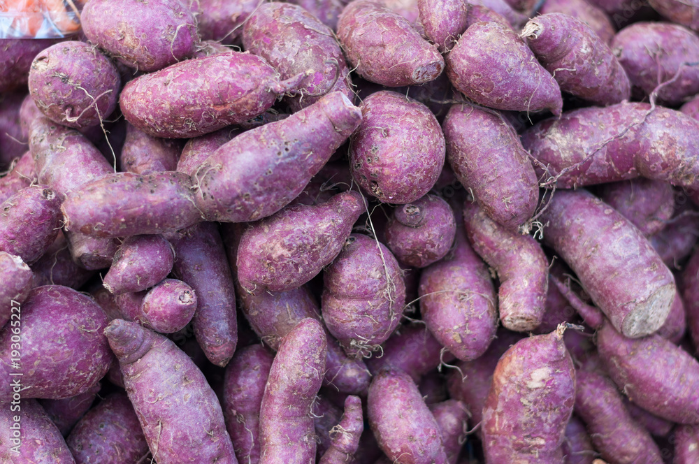 Close-up Sweet Potato purple peel yam raw many in market background Close-up Sweet Potato purple peel yam raw many in market background
