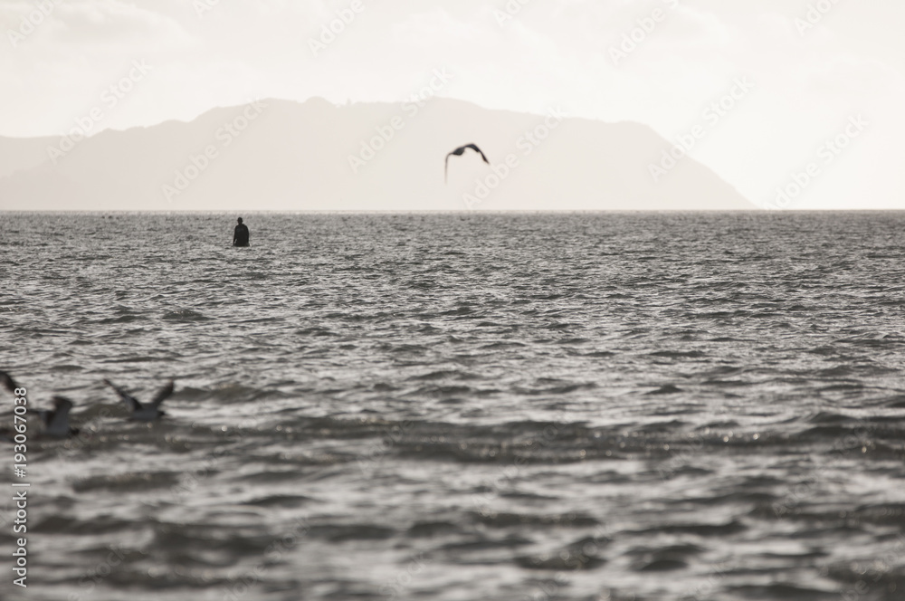 Obraz premium fishing at sunset beach