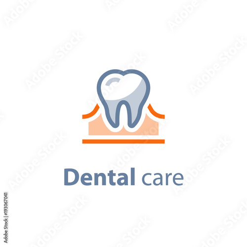 Stomatology services, dental care, prevention check up, hygiene and treatment