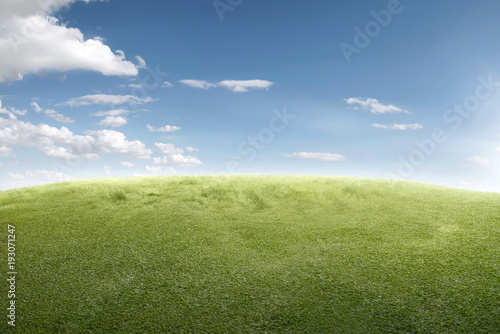 Image of green grass field