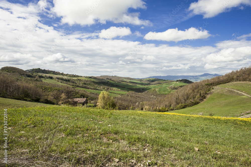 Italian landscape with fields and pastures.