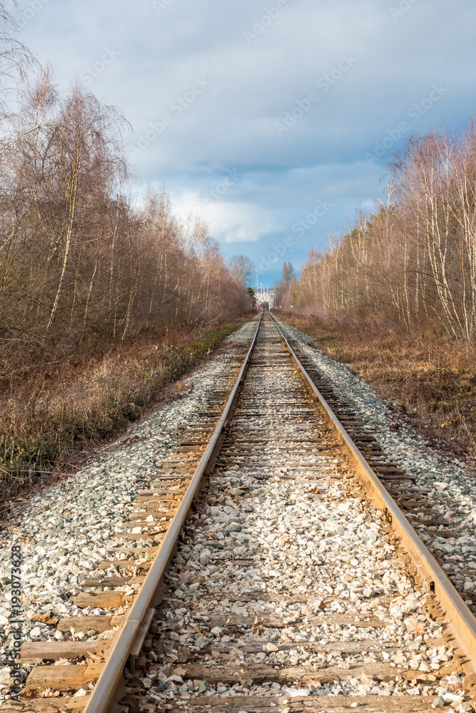railway stretching to the far end covered with thin layer of snow on a cloudy day with tress on both sides railway stretching to the far end covered with thin layer of snow on a cloudy day with tress on both sides