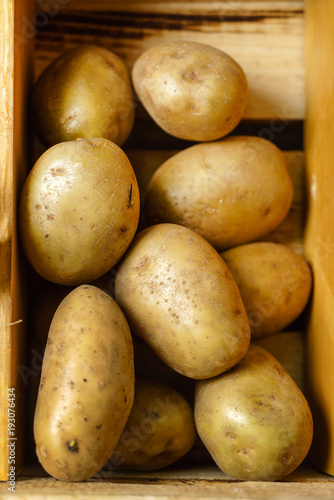 fresh organic potatoes photo