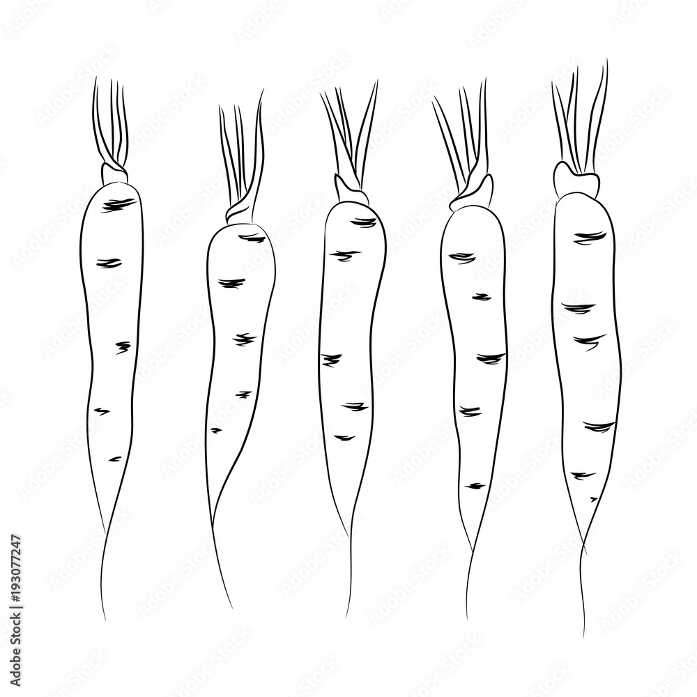 Root Vegetables Coloring Pages