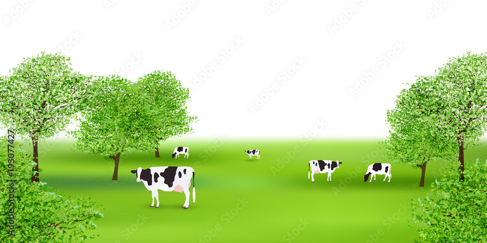 牛 牧場 風景 背景 Stock ベクター Adobe Stock