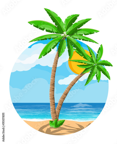 Landscape of palm tree on beach