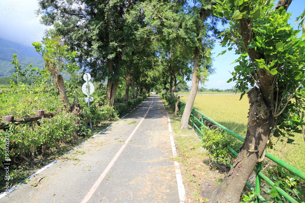 The beauty of the farmland in Guan Shan, Taitung Taiwan The beauty of the farmland in Guan Shan, Taitung Taiwan