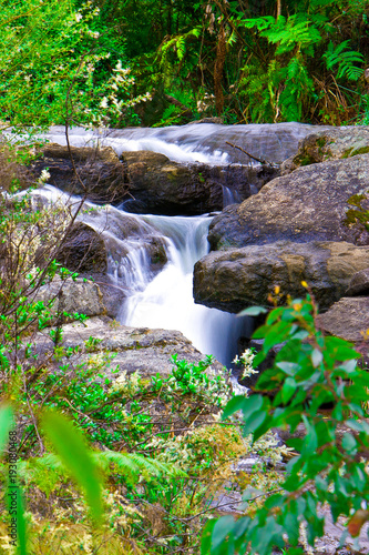 small waterfall in bush at araluen park photo