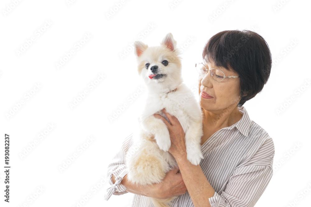 犬を買うシニア女性 犬を買うシニア女性