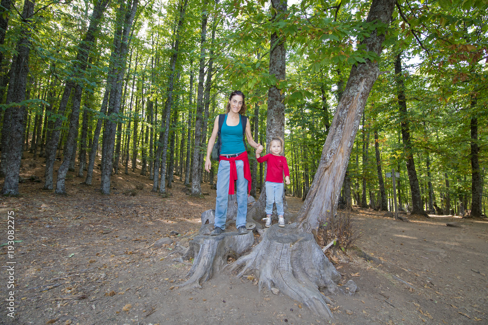 Fototapeta premium mother woman and four years age blonde child standing on cut tree trunk posing smiling in forest of chestnut in autumn 