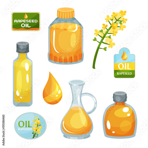 Bright-yellow rapeseed flower, vegetable oil in bottles of various forms, drop of liquid and branding labels. Natural product. Flat vector icons
