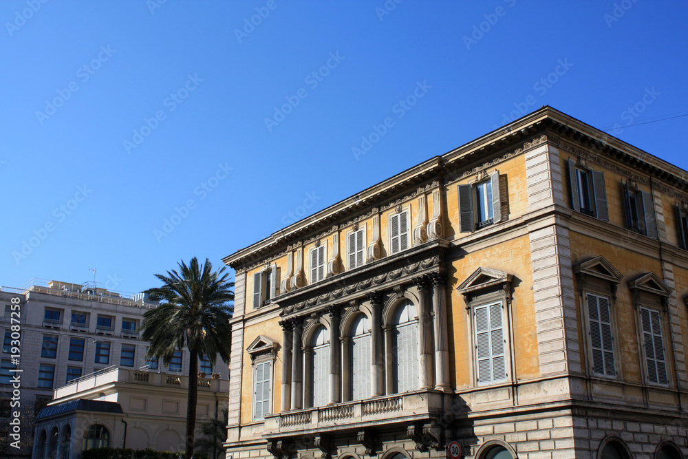 Palm with building. Italy. Rom. Sunny day