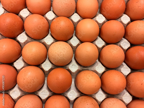 Fresh natural chicken eggs in cardboard packing.