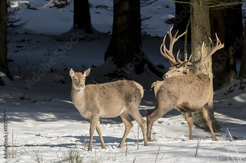 Fototapeta Naklejka Na Ścianę i Meble -  Rückblick