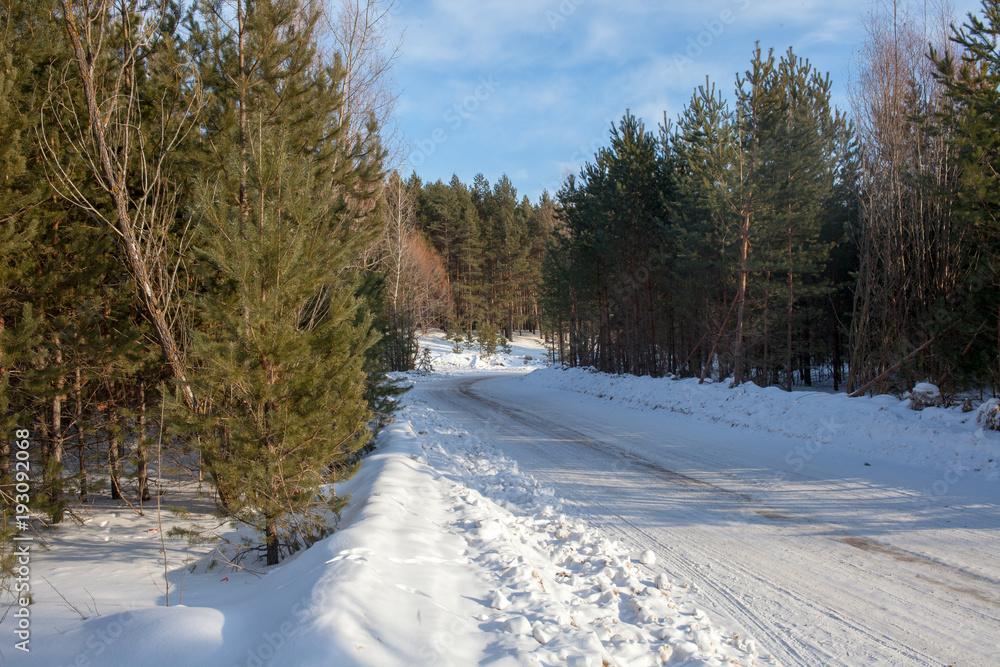 Fototapeta premium winter road
