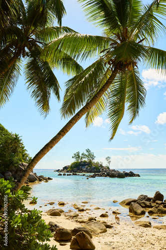 tropical beach  seychelles  Anse royale  Indian ocean