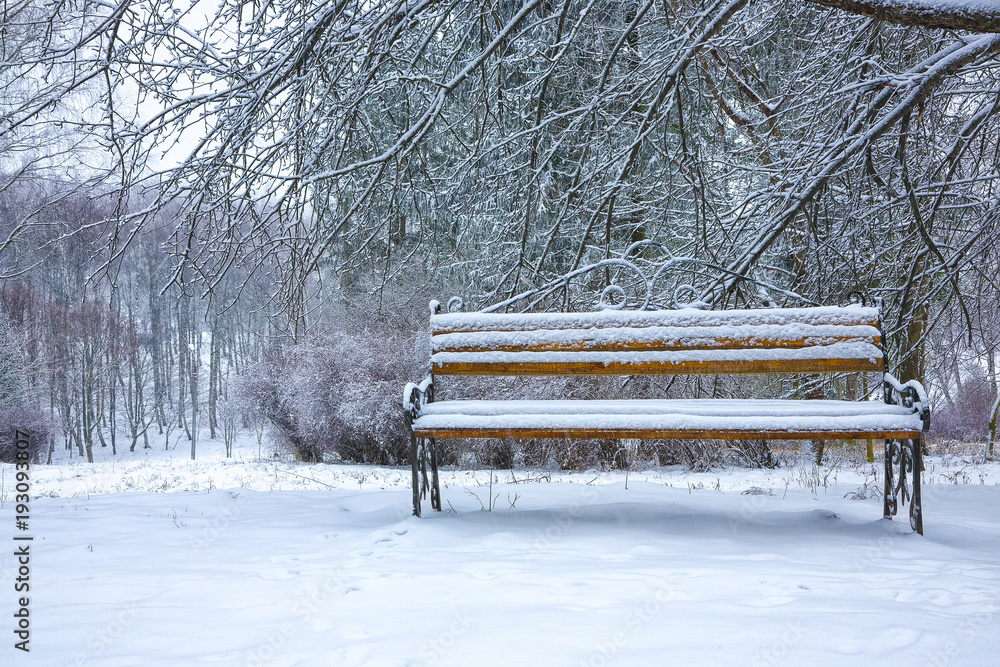 Park bench and trees covered by heavy snow