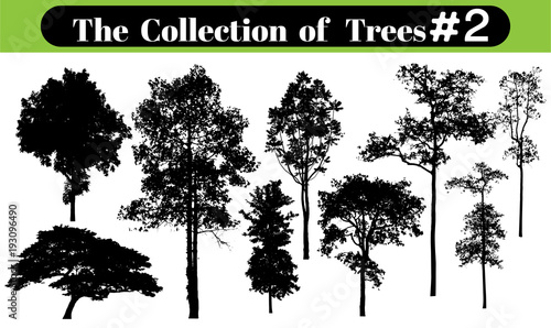 tree silhouettes on white background. Vector illustration.