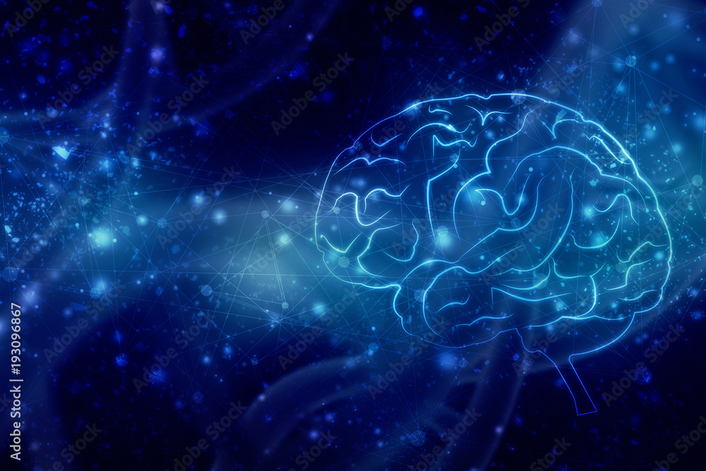 Human brain 2d illustration Human brain 2d illustration