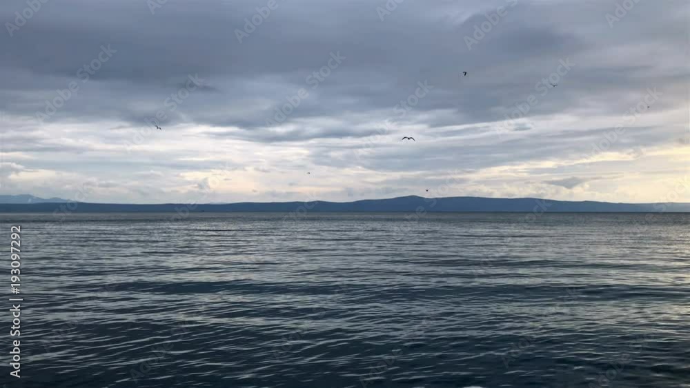 Seagulls flying above blue sea on cloudy winter day at sunset slow motion Seagulls flying above blue sea on cloudy winter day at sunset slow motion