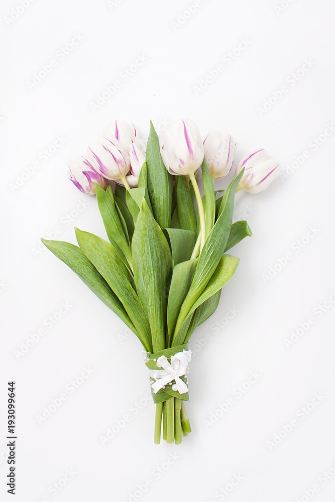 Fototapeta premium spring flowers on a white background in the studio. tulips